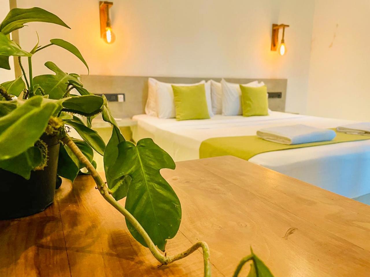 Eton Villa Диквелла Экстерьер фото